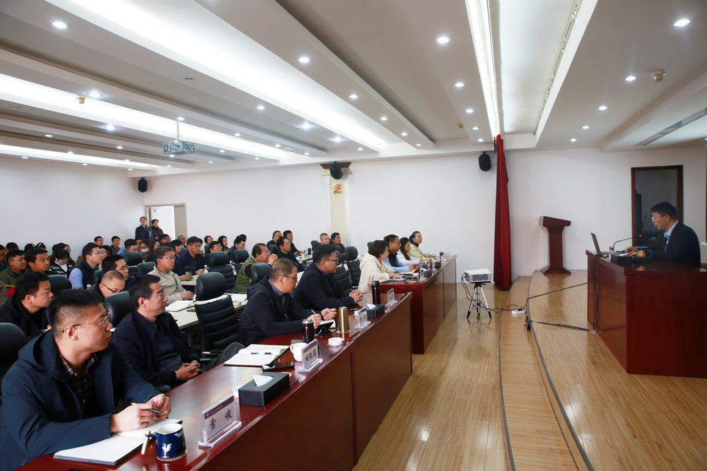 1615253335491422.jpg 790A0029.JPG