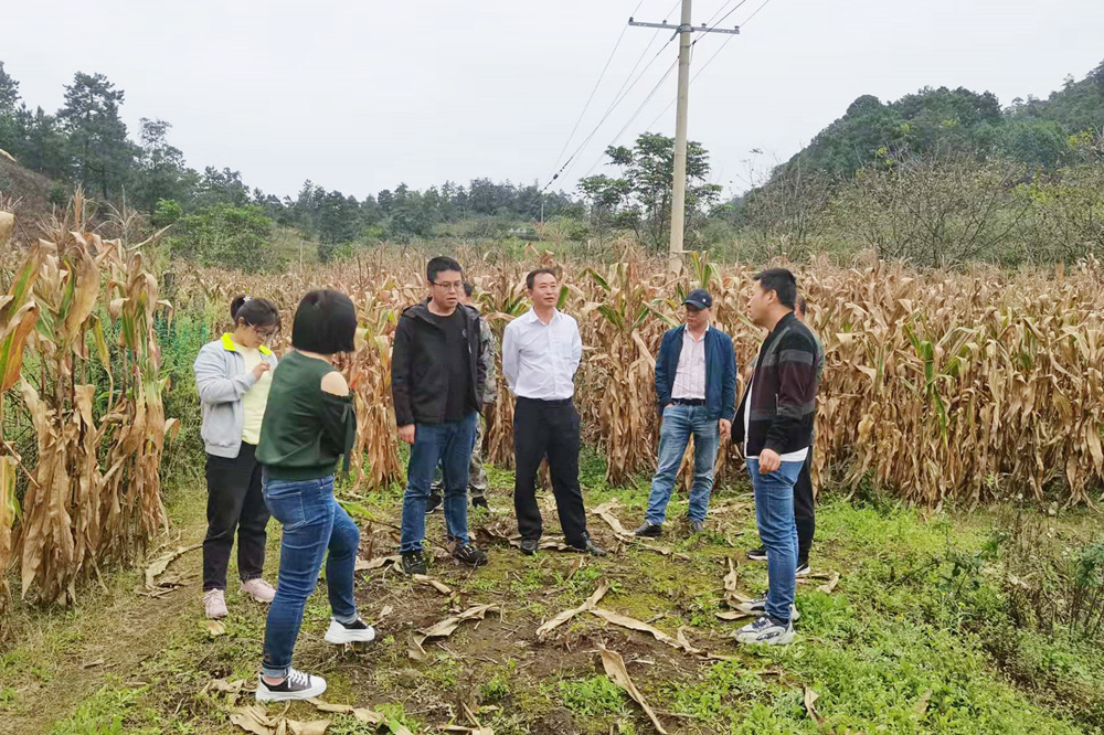 1634693367951604.jpg 永興鄉基度村.jpg