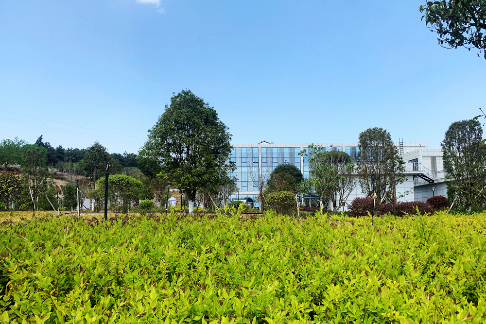 【發現一線的春景】水廠春來早1  宣威水務公司 周磊.jpg